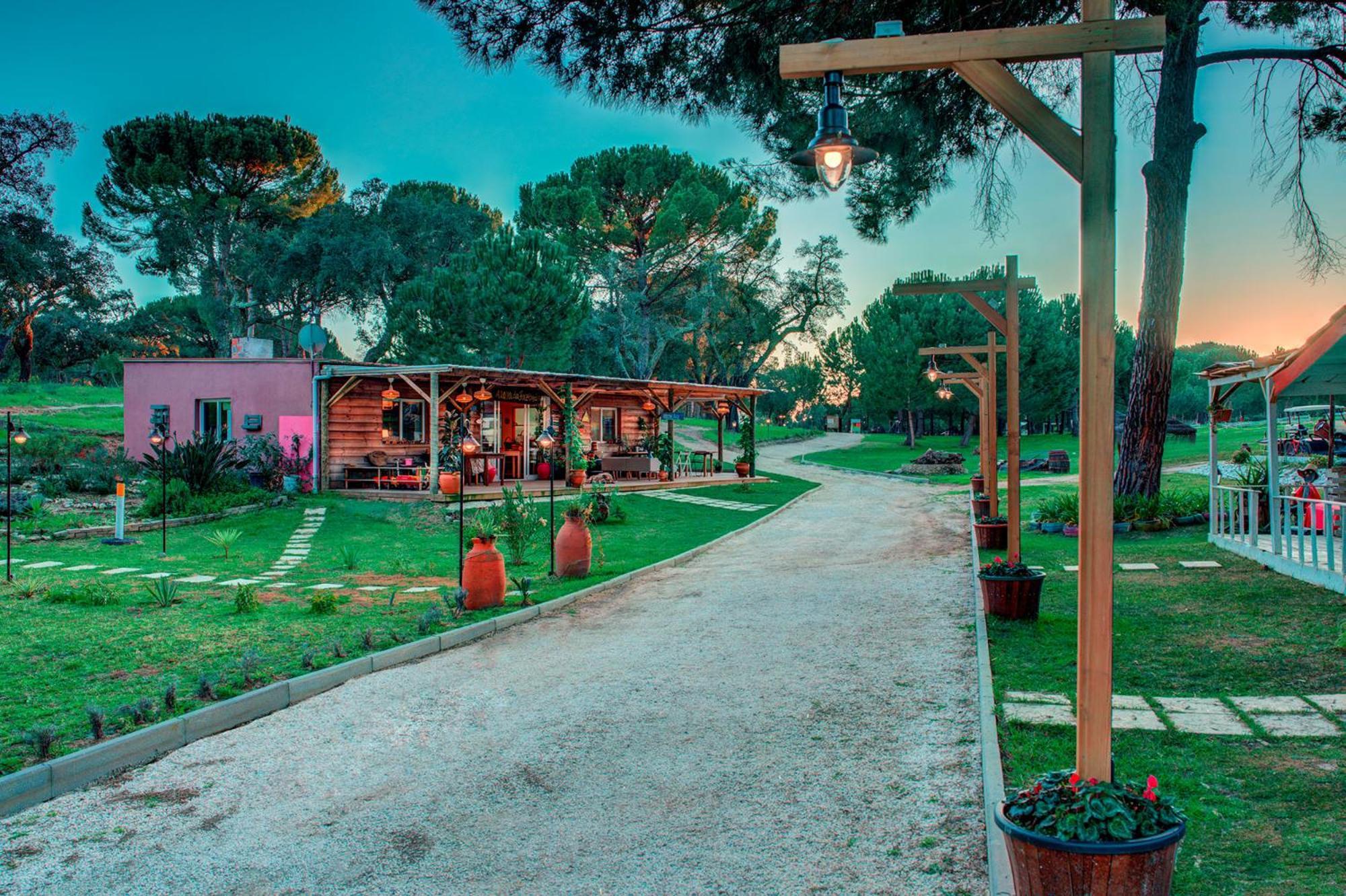Herdade Da Granja Nova Farm stay Montargil